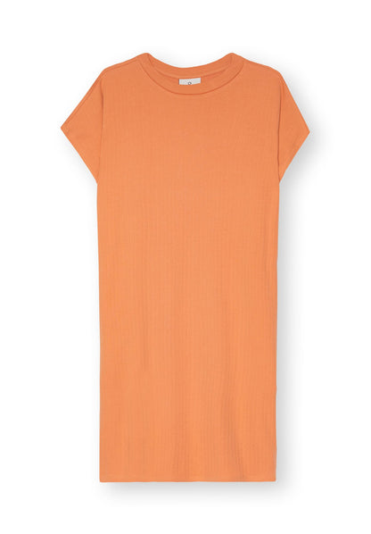 TT76 Boxy Shirt Dress (GOTS)